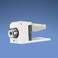 Panduit CJRWWH RCA Phono Connectors Mini-Com RCA Punchdn Module White wit