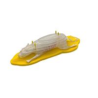 True Phantom Solutions RT-C04 Sectional Rat For X-Ray CT