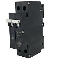 Carling Technologies RT2-P2-D4-810-21-M7 Hydraulic Handle, 2 Pole DC Medium Screw Terminal w Busbar and Cage 80 VDC