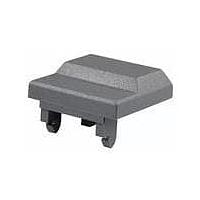 C&K STKGY Button Cap Use W/Seru Au Oa Brn