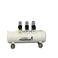 PEGASUS TM-OF750x3-120L Oil Free Silent Air Compressor (220V, 8 Kg/cm, 120L)