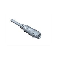Amphenol LTW CB-02AMFM-RL8E03 Sensor Cables / Actuator Cables RBL, Middle Size, Plastic, 10A, 02 pins, Male Connector, Female Contact, Straight, Push Lock With Latch, Overmolded, Length 3000mm, IP68
