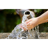 How to identify water contaminated with alum.