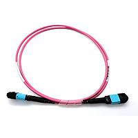 Techway EXTENDER MTP12-F 1M POLARITY B Fiber Optic Cable Assemblies Optical Trunk cable MTP12-F to MP12-F, length 1m, Polarity B