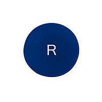 Eaton M22-XD-B-X6 Button Plates FLSH BLU ETCHED BUTTON FOR NON-ILL PB