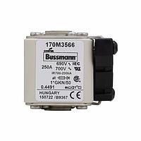 Eaton Bussmann 170M3566 High Speed Fuse 250A 690V 1*GKN/50 AR UC