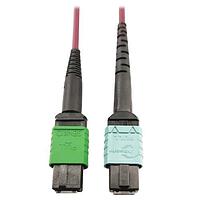 Tripp Lite N846D-01M-16CMG Fiber Optic Cables 1M 16STRD MPO/APC OM4FIBCBL