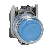 SCHNEIDER XB4BP61 Standard Switches NON-ILLUN CLEAR BOOT BLUE EXTENDED 1NO