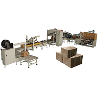 Zengran LB450-2 Case Packer For Pouch And Bag (17 BPM)