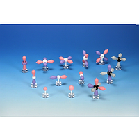 PHYWE 39838-00 Atomic Orbital Models (14 pcs)