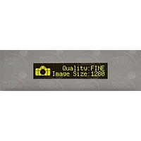 Matrix Orbital BLC2021-AL-IY PC Bay Inserts, LCD Characters 20x2 Ylw Txt Blk B/G B/G Slvr Brk No Key