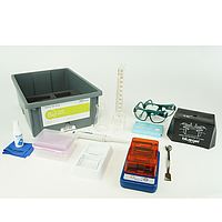 PHYWE 15311-88 Student Set Genetics