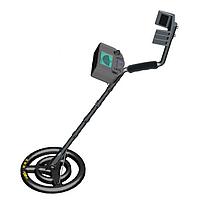 Metal Detector Calibration Service