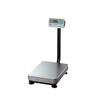 Floor Scale