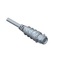 Amphenol LTW DD-10AMFM-RL7A02 Sensor Cables / Actuator Cables RBL, Large Size, Plastic, 5A, 10 pins, Male Connector, Female Contact, Straight, Push Lock With Latch, Overmolded, Length 2000mm, IP67