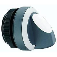 RAFI 1.30.252.601/0207 Switch Actuators