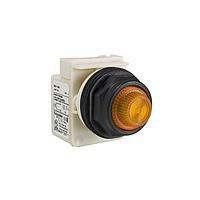 Square D 9001SKP36A31 Indicators PILOTLIGHT 48V 30MM SK