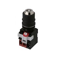 Omron Automation and Safety A22TK-2LR-12-01 Keylock Switches A22TK-2LR-12-01