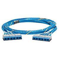 Panduit QXPBCBCBXX50 Cat 6a QN Cable Assembly, Cat 6A (SD), Blue Jac