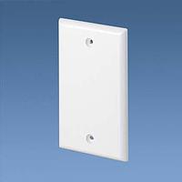 Panduit CPNEI Faceplate Sngl Gang Screw-on Blank Fplatee