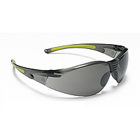 Proguard RAZOR2-S protect goggles