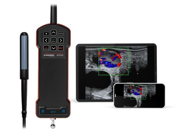 Doppler blood-flow assessment of the corpus luteum in cattle