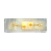 Inolux IN-S42DS5B Single Color LEDs Side View / 0402 / 1.0 x 0.55 x 0.3