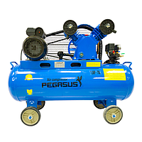 PEGASUS TM-V-0.25/12.5-180L Belt Driven Air Compressor (220V, 12.5 Kg/cm, 180L)