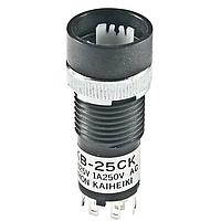 NKK Switches KB25CKW01 Standard Switches DP On-(On) RD BSH MT