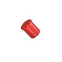 Caplugs RC-12 Conduit Fittings & Accessories CAP FOR 3/4 THREAD