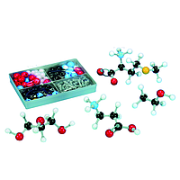 PHYWE 39835-00 Student Molecular Model Construction Kit (biochemistry)