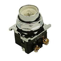 Eaton 10250T411-1C22 Heavy Duty OILTIGHT ILLUM PUSHBUTTON