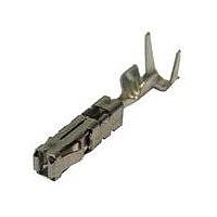 Aptiv 35041242 Terminals ASM TERM  F DCK 2.8 SN