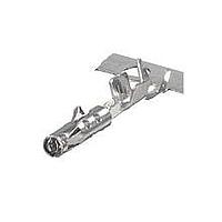 Molex 64322-1039 (Loose Piece) Terminals SN PLTD .5MM F/M TRM Loose PC