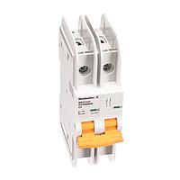 Weidmuller 2477460000 Thermal-Magnetic MCB 489 2P B 25A ACDC