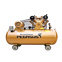 PEGASUS TM-V-1.05/12.5-500L Belt Drive Air Compressor (380V, 12.5 Kg/cm, 500L)