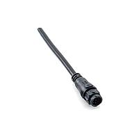 Amphenol LTW BB-02AMFM-QL8D03 Sensor Cables / Actuator Cables X-Lok, Standard Size, Plastic, 10A, 02 pins, Male Connector, Female Contact, Straight, Push Lock, Overmolded, Length 3000mm, IP68