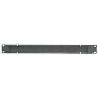 Panduit BR1B Wire Ducting & Raceways 19  1 RU Brush Seal Blank Panel with f