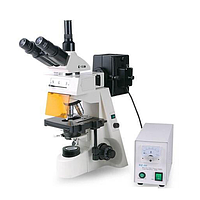 HINOTEK XYL-146YT Epi-fluorescence microscope (4X-100X)