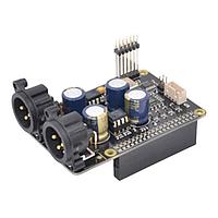 Raspberry Pi SC0551 USB Cables / IEEE 1394 Cables XLR Board