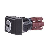 EAO 51-295.025D Keylock Switches LENS FLUSH HALO STYLE W-SLVR-GRAY