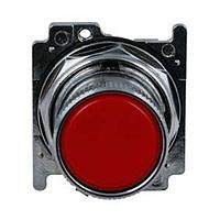 Eaton 10250T25211 Flush ROTO-PUSH 2P FLUSH R C11