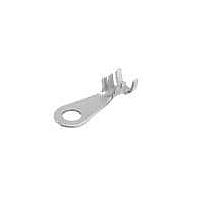 Aptiv 12129598 Terminals RING BATTERY TIN PLT 19.00-13.00MM2