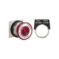 Square D 9001KR9R94 Pushbutton Switches PSH BTTN 30MM K