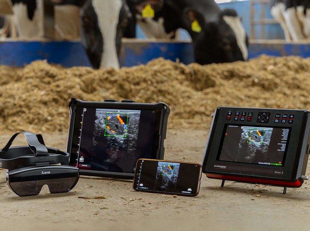 Doppler ultrasound image used in dairy cattle reproductive assessment