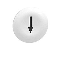 SCHNEIDER ZBA7134 Switch Hardware WHITE CAPS WITH BLACK ARROW