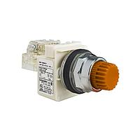 Square D 9001K2L35A21H13 Pushbutton Switches PSH BTTN 600VAC 10A 30MM, Type K