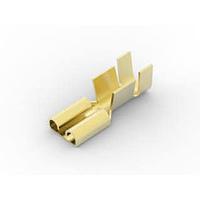 AMP Connectors - TE Connectivity 180363-1 Receptacle 250 FASTON,REC.,12-10 AWG,BR