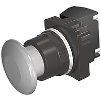 SIEMENS 52BM9W6J Pushbutton PUSHBUTTON,MOM,GRY,1 3/4" PLST,2POS,1NC