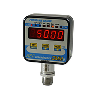 AEP Transducers DMM2 Digital pressure gauge (350 bar)